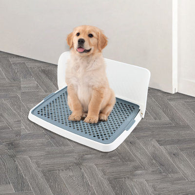 Tucker Murphy Pet Seviervillle Detachable Pet Dog Potty Pad Indoor Toilet Training Mat Pad Reviews Wayfair Canada